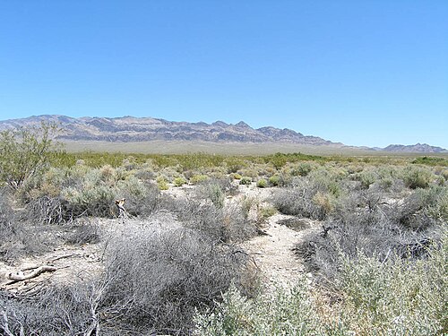 Desert National Wildlife Refuge Complex